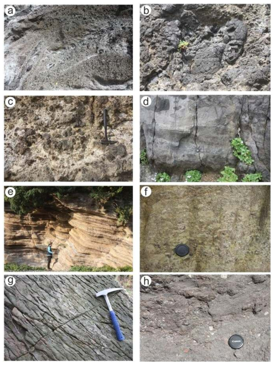 Features of major outcrops in Dodong Basaltic Rocks, Ulleung Group and Seonginbong Group. (a) Hyaloclastite, and (b) pillow lava with some pillow clasts in the Dodong Basaltic Rocks; (c) Sadong Breccia, and (d) trachyte lava with basal breccia in the Ulleung Group; (e) Sataegam Tuff showing better bedding, (f) its pumice lapillistone part, (g) trachyte lava showing flow foliation, and (h) Gombawi Welded Tuff in the Seonginbong Group