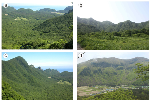 Main morphological features in the Nari caldera complex. (a) Overview of the Nari caldera complex, showing opening rim northward; (b) Morphological feature showing dendritic pattern in the southern caldera wall; (c) Morphological feature with scalloped pattern in the western caldera wall; (d) Feature exhibiting scalloped pattern in the middle part and coveered with rock-falling scree deposits in the lower part of the eastern caldera wall