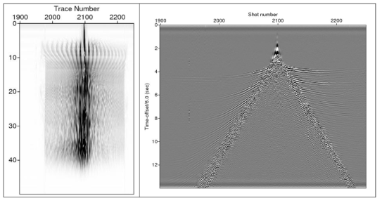 (Left) Frequency spectrum of OBS data. (Right) OBS record section after band-pass filtering