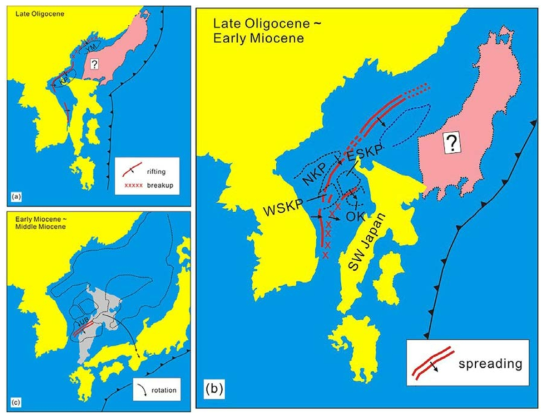 Schematic diagram showing episodes of back-arc rifting to spreading sequentially from the northern to southern parts of the Korea margin (Kim et al. 2018). (a) Initiation of back-arc rifting and breakup at the northern margin. (b) Back-arc rifting and breakup at the southern margin. (c) Back-arc spreading and clockwise rotation of the SW Japan Arc