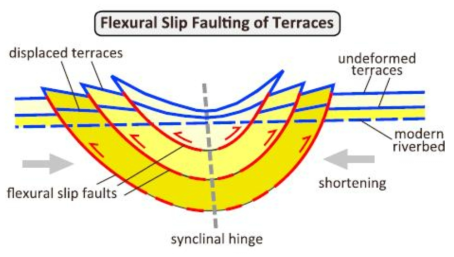 Active flexural-slip faulting model. Slip along the fault plane decreases to zero at the fold hinge. Terrace surfaces on the hanging wall of FSFs are tilted in the same directions as the dip of underlying beds. (From Li et al., 2015)