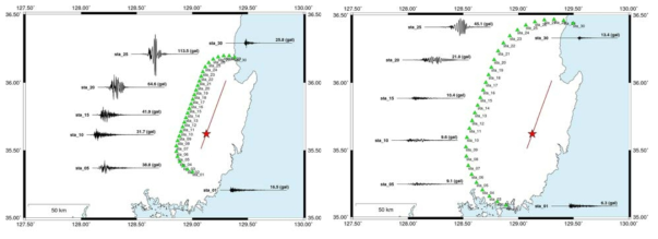 단층 지진원 (M 7.0) 주변 근거리 (왼쪽: 20 km, 오른쪽: 50 km) 강지진동 지진파형 분포(SCEC BBP 이용)