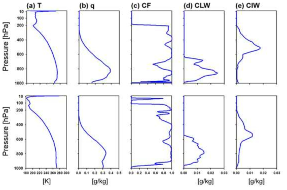 Example profiles of (a) temperature, (b) moisture, (c) cloud fraction, (d) cloud liquid water, and (e) ice water content from the ECMWF short-range forecasts