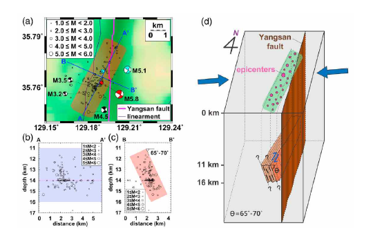(a) 본진과 여진의 진앙의 지도 그림. 장주기 파형 역산의 단층면 해가 표시된다. 단면적 (b) AA’와 (c) BB’을 따른 수직 지진 분포. BB’를 따른 수직 지진 분포는 65°-70°의 경사각을 조명한다. (d) 원인이 되는 단층의 도식적 모델과 양산 단층과의 관계. 화살표로 표시된 ENE-WSW 방향의 압축 응력장이 이 영역에 적용 된다