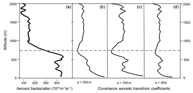 a에 따른 wavelet covariance transform의 변화. (Caicedo et al., 2017)