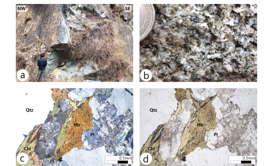 화강섬록암의 노두사진 및 박편사진. (a) 화강섬록암의 노두사진. (b) 화강섬록암 의 근접사진. (c) XPL 박편사진. (d) PPL 박편사진. Qtz : Quartz, Hb : Hornblende, Pl : Plagioclase, Chl : Chlorite