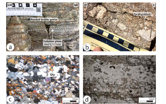 흑운모편마암의 노두사진 및 박편사진. (a) 편마구조가 발달한 흑운모 편마암. (b) 사장석 반상변정이 관찰되는 반상변정질 편마암. (c) XPL 박편사진. (d) PPL 박편사 진. Qtz : Quartz, Bt : Biotite, Ms : Muscovite