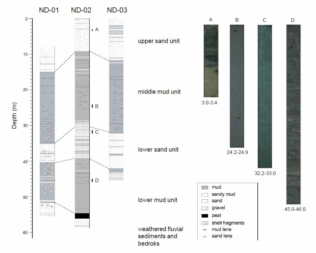 Schematic lithologic columnar section of cores ND-01, ND-02, and ND-03 with the stratigraphic correlation by the main lithologic units (upper sand unit, middle mud unit, lower sand unit, and lower mud unit). Core photos (A, B, C, D) show representative images of each lithologic unit