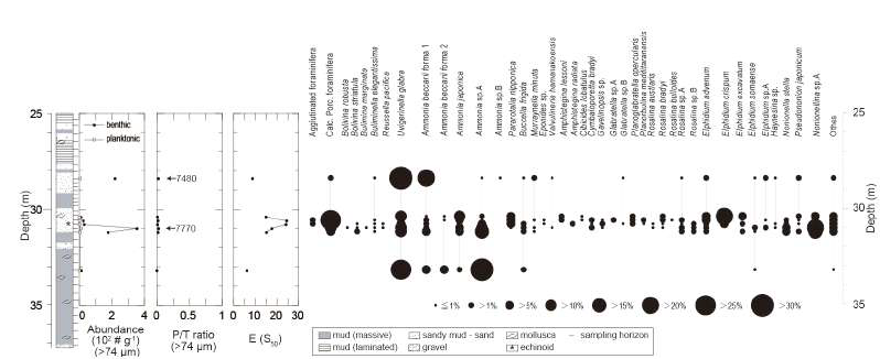 Stratigraphic changes of the abundances in benthic and planktonic foraminifera, the planktonic/total foraminiferal ratio (P/T ratio), rarefaction (E (S50)) and the occurrence of selected taxa of benthic foraminifera at core HS02. Age data (calendar ages) were taken from Yamada and Takayasu (2006)