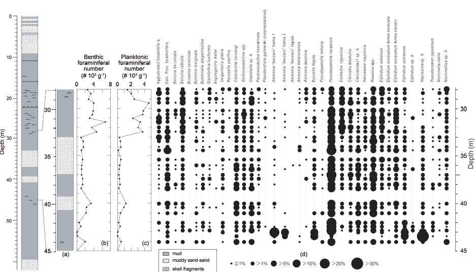 Stratigraphic changes in (a) schematic lithologic type, (b) benthic foraminiferal number, (c) planktonic foraminiferal number, and (d) occurrence of selected taxa of benthic foraminifera in core ND-02