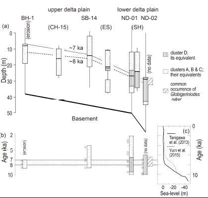 (a) Spatio-temporal variation of benthic foraminiferal faunas and Globigerinoides ruber in the Nakdong River delta scaled by core depth (m). The depth level of 0 m at each core was adjusted to present day sea level, based on elevation (Supplementary data 1). Benthic foraminifera data are taken from the publications, core BH-1 (Ryu et al., 2011), core SB-14 (Ryu et al., 2005), and cores CH-15, ES, and SH (Ryu, 2003). The horizontal bar with range of benthic foraminiferal fauna represents the highest P/T ratio at each core. Depth distribution of basements and the estimated depth levels of the ~8 ka and ~7 ka horizons based on AMS 14C age data were shown in cores BH-1,SB-14,ND-01,and ND-02.(b)Spatio-temporal variations of benthic foraminiferal fauna scaled by age (ka) in cores BH-1, SB-14, ND-01, and ND-02, marking the age data by the open circles. (c) Sea level changes in southwest Japan (Tanigawa et al., 2013) and the northeast coast of Korea (Yum et al., 2015)