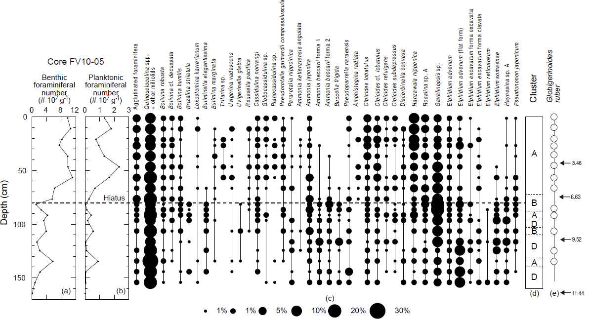 Stratigraphic changes in (a) benthic foraminiferal number and (b) planktonic foraminiferal number, and (c) the occurrence of selected taxa and (d) four clusters of benthic foraminifera, and (e) the occurrence of Globigerinoides ruber in core FV10-05