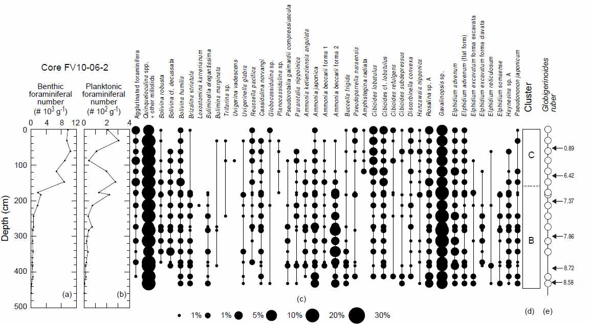 Stratigraphic changes in (a) benthic foraminiferal number and (b) planktonic foraminiferal number, and (c) the occurrence of selected taxa and (d) four clusters of benthic foraminifera, and (e) the occurrence of Globigerinoides ruber in core FV10-06-2