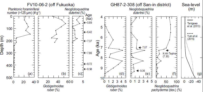 Stratigraphic changes in (a) planktonic foraminiferal number and the occurrences of (b) Globigerinoides ruber and (c) Neogloboquadrina dutertrei, in core FV10-06-2, (d) G. ruber, (e) N. dutertrei and (f) Neogloboquadrina pachyderma (dex) of core GH87-2-308, (data referred from Takata et al. [2006a]) and sea-level changes (referred from Tanigawa et al. [2013] and Yum et al. [2015]). Age data at core GH87-2-308 were referred from Takata et al. (accepted)