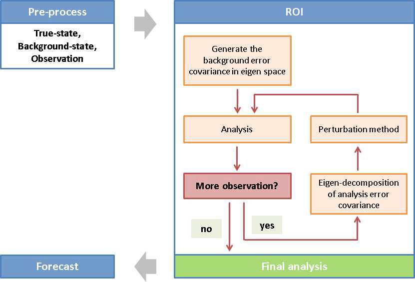 Processes of WRF-ROI system