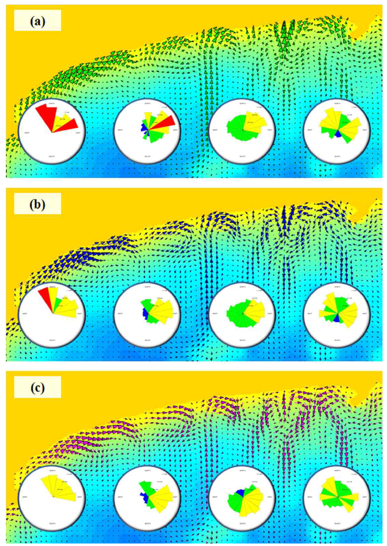 각 격자에서의 해빈류 벡터와 영역별 장미도 (a) 표층흐름, (b) 평균수면, (c) 저층흐름