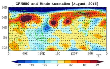 2016년 8월의 850hPa 지위고도와 바람 편차