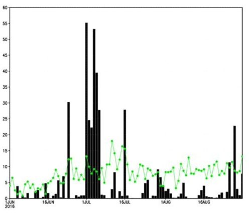 Daily precipitation climatology (green line) and daily precipitation amounts in 2016 summer (JJA) (black bar) averaged at 45 meteorological stations in South Korea