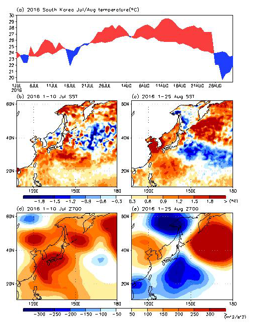 2016년 7월,8월의 폭염 상황을 나타냄. (a) 한반도 일 평균온도 시계열. 빨간(파란) 범위는 climatology 보다 더 높은(낮은) 날을 나타냄. (b),(c) 폭염이 발달하는 시점(b, 2016년 7월 1일-10일)과 폭 염이 한창 진행되는 시점(c, 2016년 8월 1일-25일)일 때, 해수면 온도 아노말리. (d),(e) 폭염이 발달하는 시점(d)과 폭염이 한창 진행되는 시점(e)의 700hPa 지위고도장 아노말리