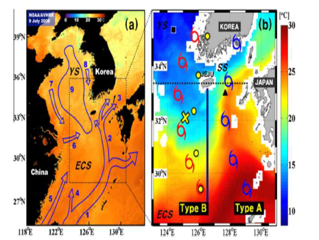 (a) A schematic of summer circulation patterns in the ECS, YS, and SS with NOAA/AVHRR SST image on 9 July 2006. Acronyms are explained in the text. (b) Spatial distribution of the sea temperature at 30-m depth on 9 July 2006 based on the JCOPE simulation (Miyazawa et al., 2009). Tracks of two types are divided by a line (blue line) cross the center of Jeju Island. Yellow dots are tracks of typhoon Ewiniar (0603) with 6-h intervals
