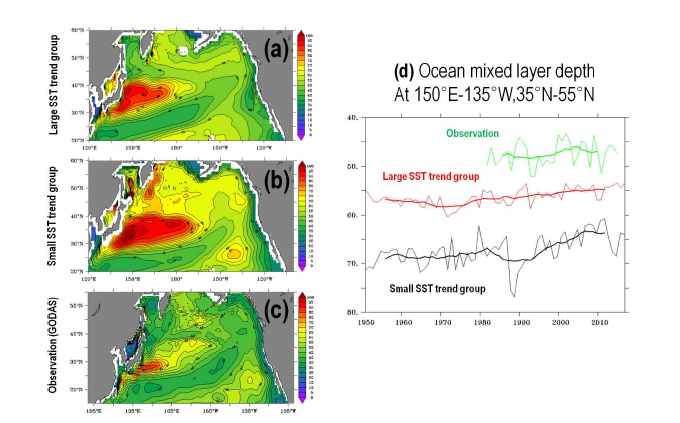 현재기후(1950-2016)에서 (a)Large집단, (b)Small집단, (c)관측자료에서 나타나는 혼합층깊이 (m) 평균 및 (d)북태평양 북부해역에서의 혼합층깊이 변화