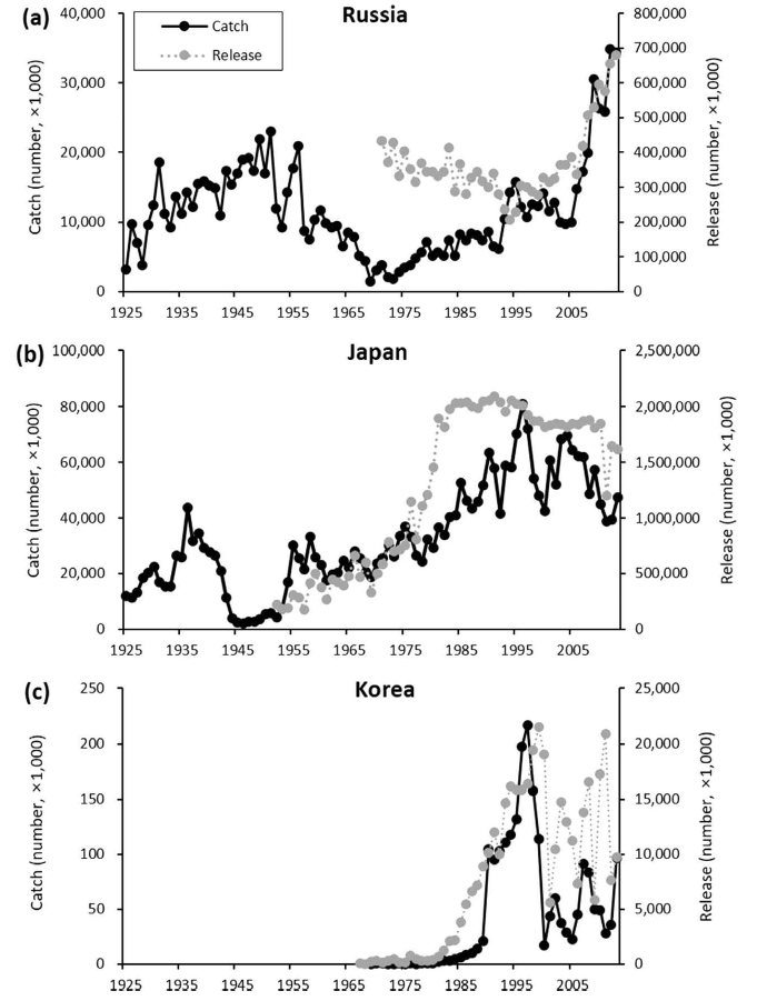 Interannual variability of chum salmon catch (thin lines) and the number of fry released (dotted lines) at hatcheries in (a) Russia, (b) Japan, and (c) Korea