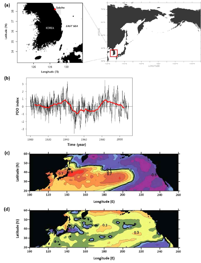 Study area and environmental variability used in this study. (a) Seawater temperatures were collected from the ocean monitoring area (shaded) and the Sokcho Light House (white dot) in Korean waters, (b) monthly values of the Pacific Decadal Oscillation Index, 1900–2009. Red line indicates 10-year moving average, (c) average sea surface temperature anomalies during negative PDO, May 1998–August 2002, and (d) average sea surface temperature anomalies during positive PDO, September 2002– September 2007 (McKinnell et al. 2010)