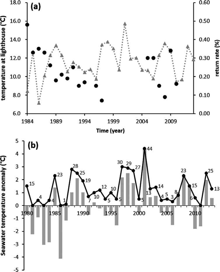 Time-series of (a) Return rate (%, dot) of chum salmon released from Yangyang hatchery and mean seawater temperature anomalies in April–May (line), and (b) Mean seawater temperature anomalies (bar) and the number of days (line) exceeding 14℃ in daily mean at Sokcho Light House in April–May