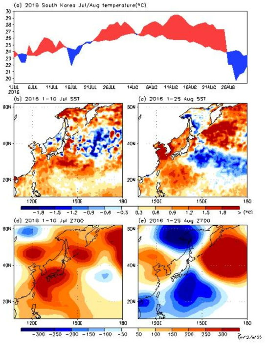 2016년 7월,8월의 폭염 상황을 나타냄. (a) 한반도 일 평균온도 시계열. 빨간(파란) 범위는 climatology 보다 더 높은(낮은) 날을 나타냄. (b),(c) 폭염이 발달하는 시점(b, 2016년 7월 1일-10일)과 폭염이 한창 진행되는 시점(c, 2016년 8월 1일-25일)일 때, 해수면 온도 아노말리. (d),(e) 폭염이 발달하는 시점(d)과 폭염이 한창 진행되는 시점(e)의 700hPa 지위고도장 아노말리