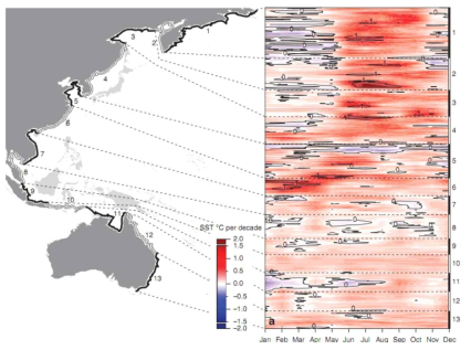 Latitudinal transect along the Western Pacific Ocean. (a) Linear trends of SST change along the Western Pacific coast, expressed in °C per decade. Horizontal axis is month within the year and vertical axis represents location along the coastline