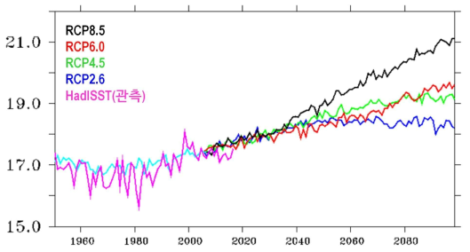 현재기후(밝은 파랑) 및 온난화 시나리오별(파랑,녹색,빨강,검정)로 CMIP5 10개 모형이 모사하는 한반도 연근해 해수면 온도(℃) 앙상블 평균 및 관측(분홍) 비교