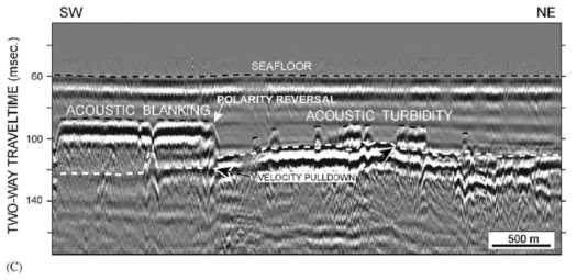 Sparker profile showing acoustic blanking and acoustic turbidity by shallow gas in Holocene sediments offshore the SE Korean Peninsula. (Lee et al., 2005)