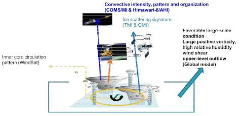 대규모 환경, 시스템 구조, 중규모 대류계의 강도/조직화 등 여러 복합한 과정을 통해서 태풍의 발생이 결정됨: 태풍발생 탐지를 위해 위성자료와 전구 모델의 융합이 필요한 이유