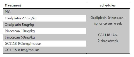 GC1118과 표준치료제 투약 용량 및 일정