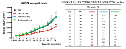 NUGC4 이종 이식 모델에서 GC1118 의한 종양 크기 변화와 상대종양성장률