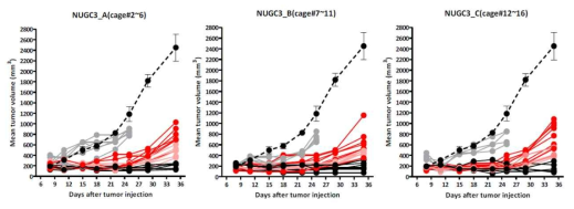 NUGC3 이종이식 모델에서 irinotecan 저항성 확인