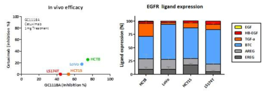 in vivo efficacy and EGFR 리간드 expression in CRC cell lines