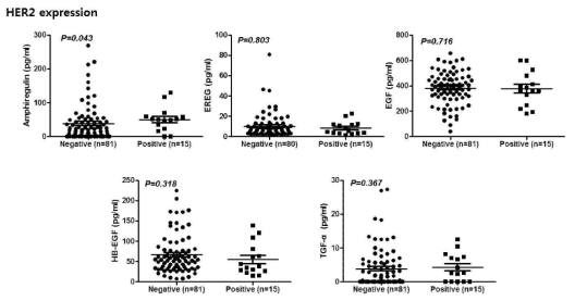 HER2 발현에 따른 위암 환자 EGFR 리간드 발현