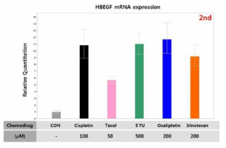 5종의 표준 화학 치료제에 의한 HB-EGF 발현