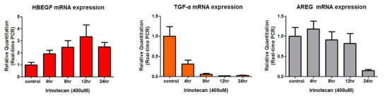 위암세포주에서 Irinotecan에 의한 EGFR ligands 발현