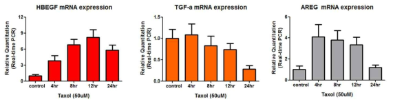 위암세포주에서 Taxol에 의한 EGFR ligands 발현