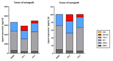 HB-EGF 과발현 세포주 이종 이식 모델에서 EGFR ligands 발현 분석