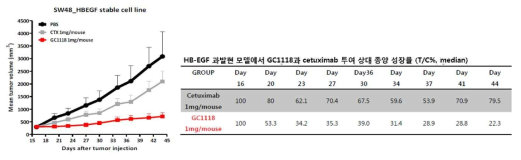 SW48 HB-EGF 과발현 세포주 동물 모델에서 GC1118의 종양 억제 효과