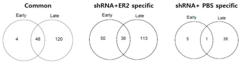 Z-score에서 선별된 유전자의 수 왼쪽: shRNA와 GC1118을 처리한 조건과 shRNA와 PBS를 처리하여 공통으로 나타나는 유전자 수, 가운데: shRNA와 GC1118처리 특이적 유전자 수, 오른쪽: shRNA와 PBS 특이적 유전자 수