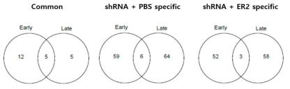 RIGER algorithm에서 선별된 유전자 왼쪽: shRNA와 GC1118을 처리한 조건과 shRNA와 PBS를 처리하여 공통으로 나타나는 유전자 수, 가운데: shRNA와 PBS 처리 특이적 유전자 수, 오른쪽: shRNA와 GC1118 특이적 유전자 수