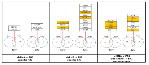 GC1118 treatment sample에서 Z-score와 RIGER algorithm로 선별된 유전자 왼쪽, PBS 특이적 선별 유전자: 5개, 가운데, GC1118 특이적 선별 유전자: 13개, 오른쪽, 공통 유전자: 9개