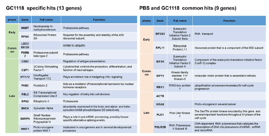선별 된 GC1118과 PBS 공통 유전자 및 GC1118 특이적 유전자의 기능