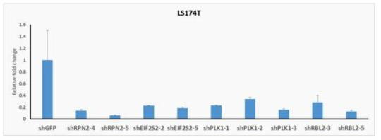 EIF2S2, RPN2, PLK1, RBL2 shRNA의 유전자 KD 정도 확인 (qPCR data)