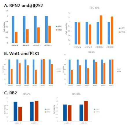 각 유전자 KD 세포주에서 serum 농도 별 viability (A) shGFP (blue), RPN2 (shRPN2-4, shRPN2-5) (orange) 혹은 EIF2S2 (shEIF2S2-2, shEIF2S-5) (orange) 형질도입 LS174T 세포주의 viability. (B) shGFP (blue), Wnt1 (shWnt1-2, shWnt1-3, shWnt1-5) (orange) or PLK1 (shPLK1-1, shPLK1-2, shPLK1-3) (orange) 형질도입 LS174T 세포주의 viability. (C) shGFP (blue), RBL2 (shRBL2-3, shRBL2-5) (orange) 형질도입 LS174T 세포주의 viability.)