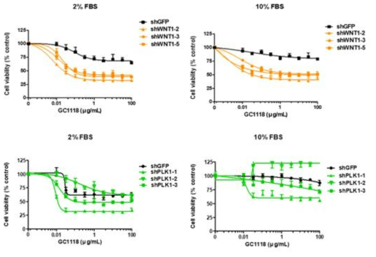 Wnt1과 PLK1 유전자가 KD 된 LS174T세포에서의 serum 농도에 따른 GC1118의 반응성